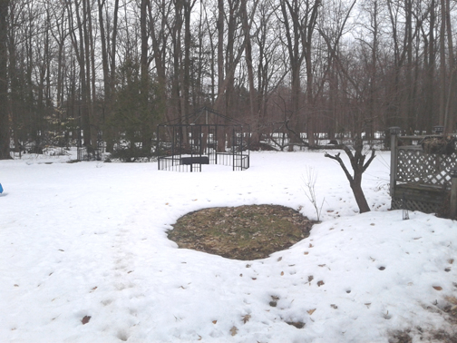 Back Yard_March 28_WEB.jpg