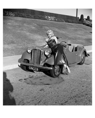 FW0322 Marilyn Monroe on Car - email.jpg